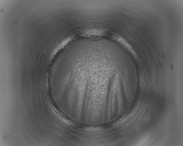 X0000062130537200512161154