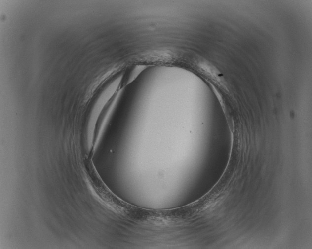 X0000062130538200512161154