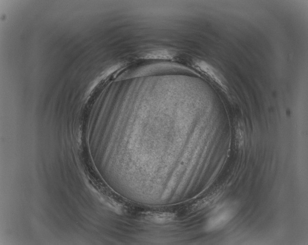 X0000062130539200512161154