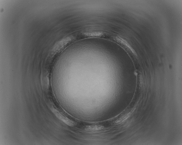 X0000062130541200512161154