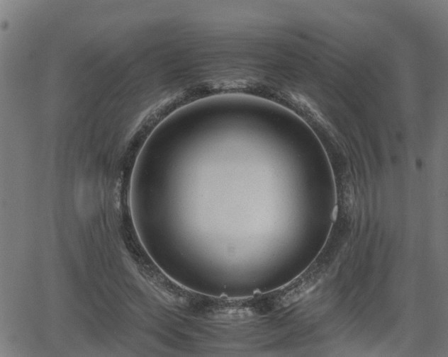 X0000062130543200512161154