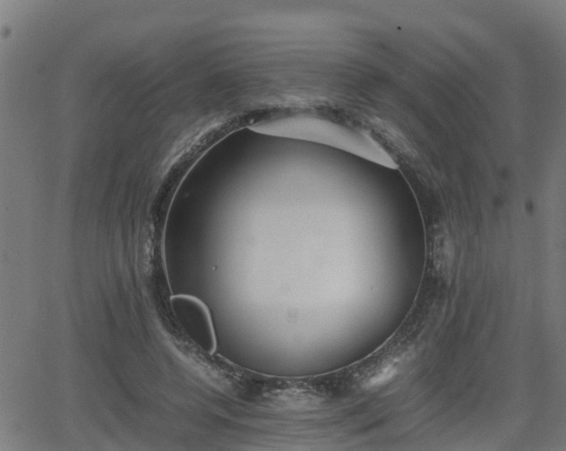 X0000062130544200512161154