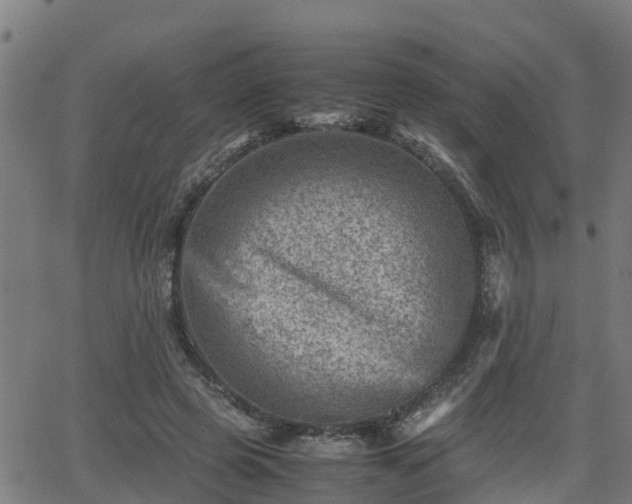 X0000062130545200512161154