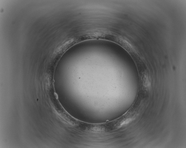 X0000062130546200512161154