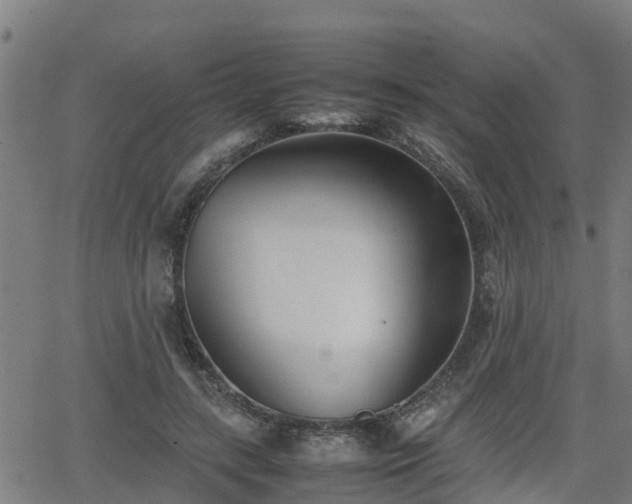 X0000062130547200512161154