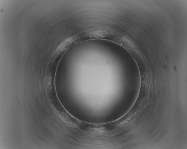 X0000062130548200512161154