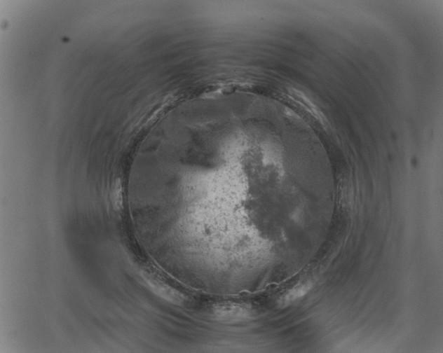 X0000062130549200512161154