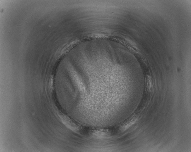 X0000062130550200512161154