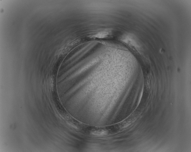 X0000062130551200512161154