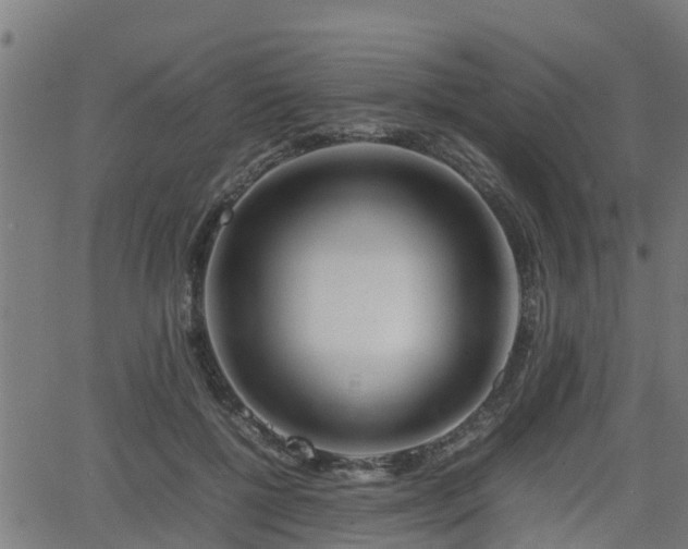 X0000062130552200512161154