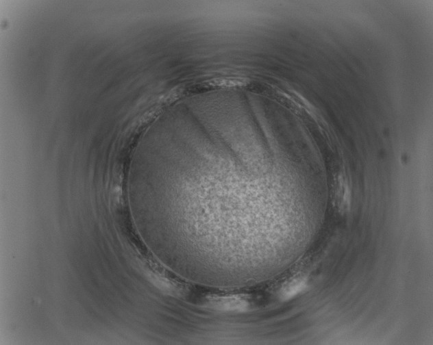 X0000062130553200512161154