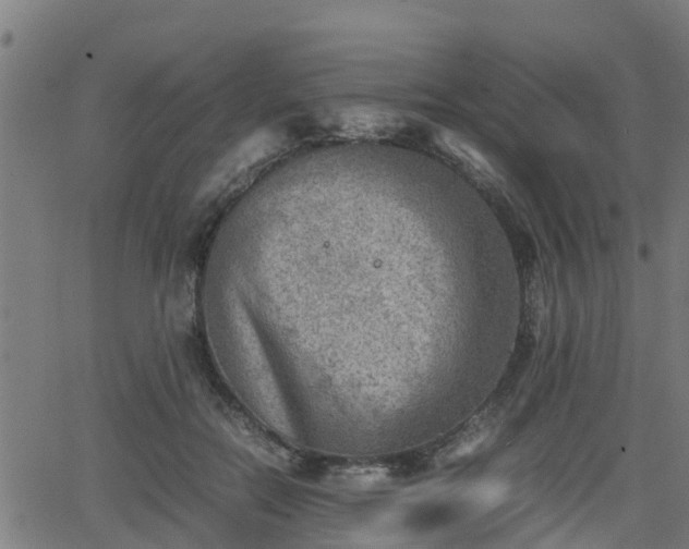 X0000062130554200512161154