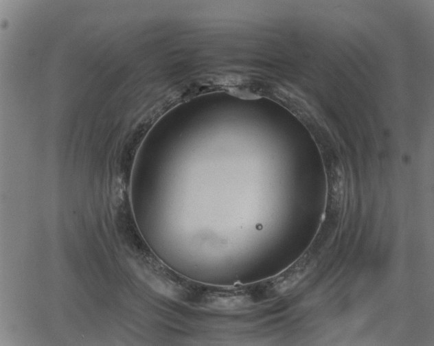 X0000062130555200512161154