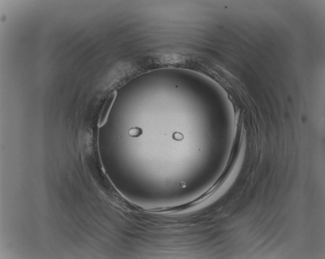 X0000062130556200512161154