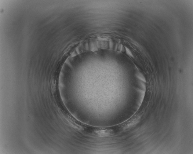 X0000062130558200512161154