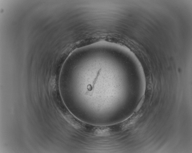 X0000062130560200512161154