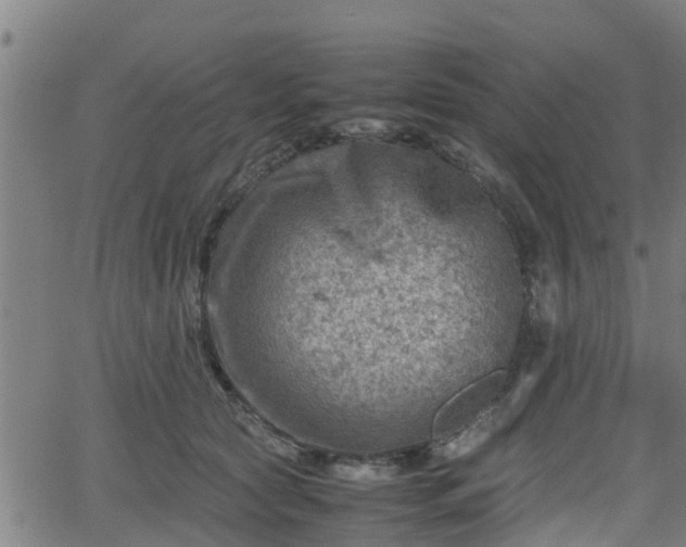 X0000062130561200512161154