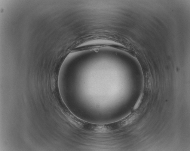 X0000062130562200512161154