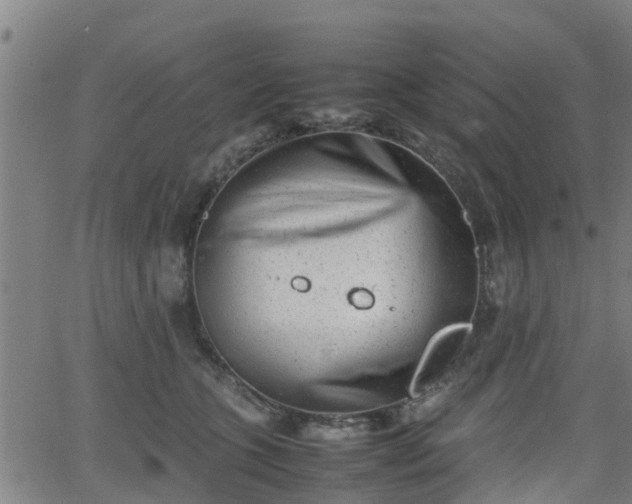 X0000062130563200512161154