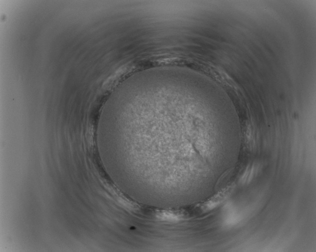 X0000062130565200512161154