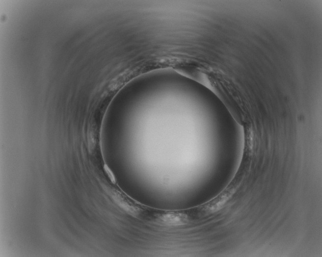 X0000062130566200512161154