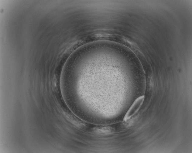 X0000062130567200512161155