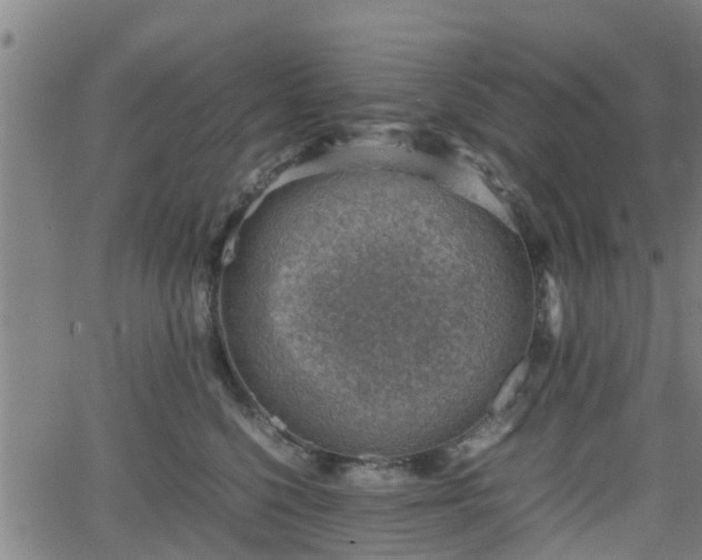 X0000062130568200512161155