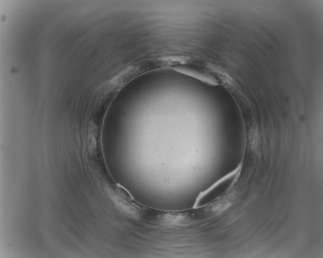 X0000062130570200512161155