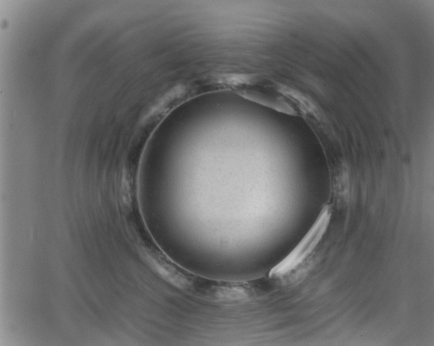 X0000062130572200512161155