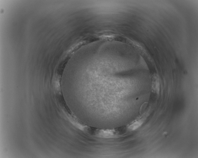 X0000062130573200512161155