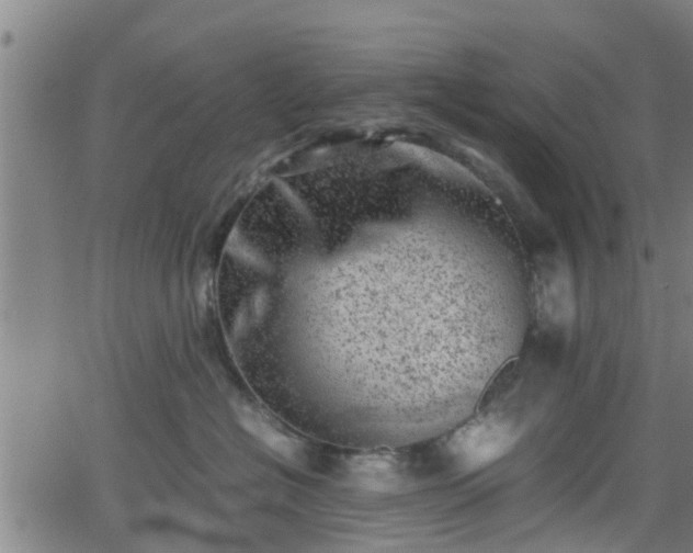 X0000062130574200512161155