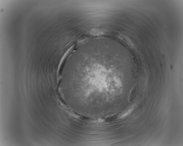 X0000062130576200512161155