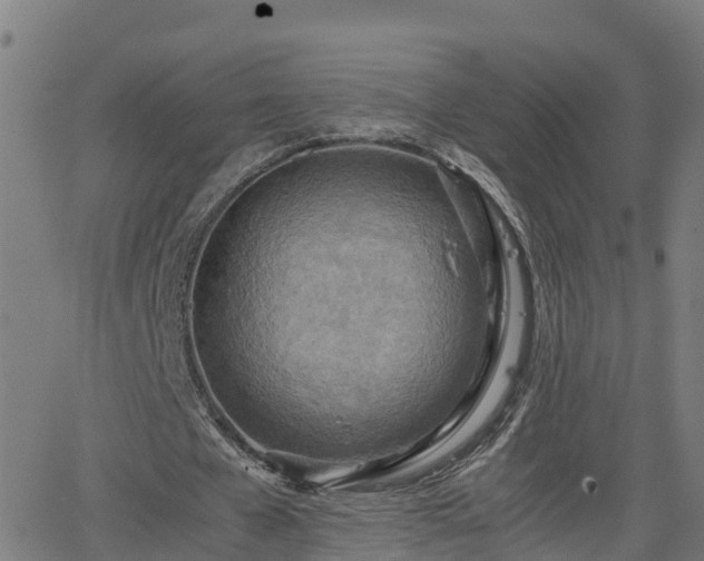 X0000062130577200512161154