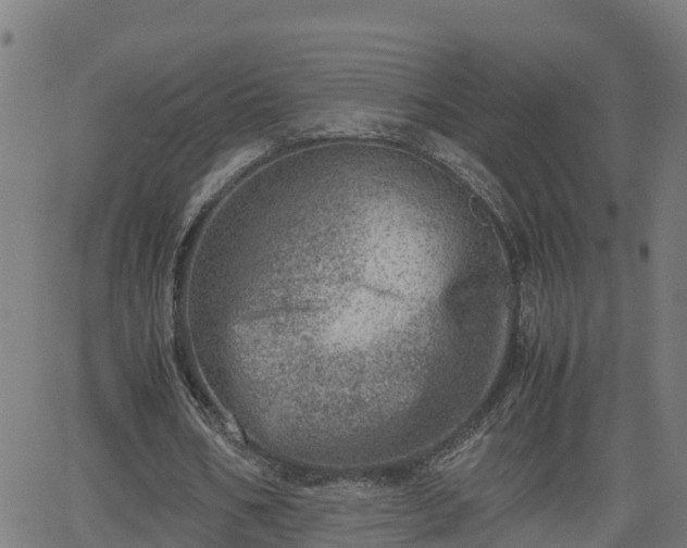 X0000062130578200512161154