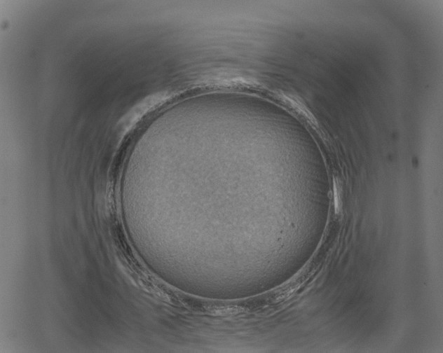 X0000062130579200512161154