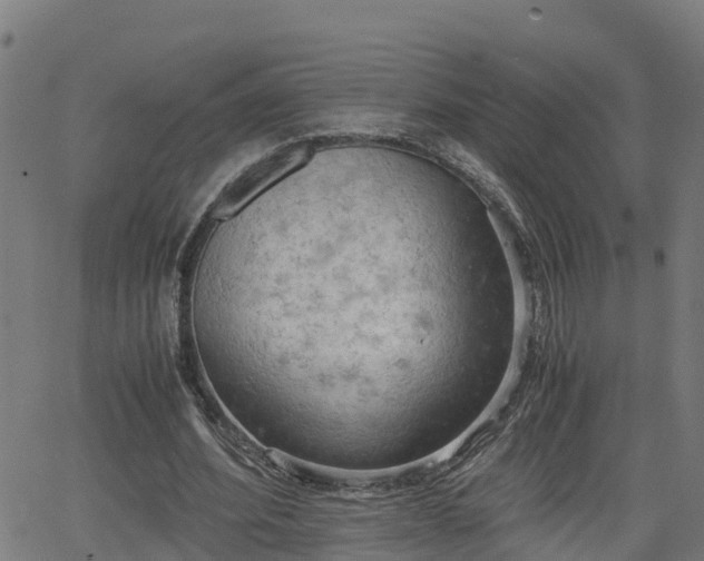 X0000062130580200512161154