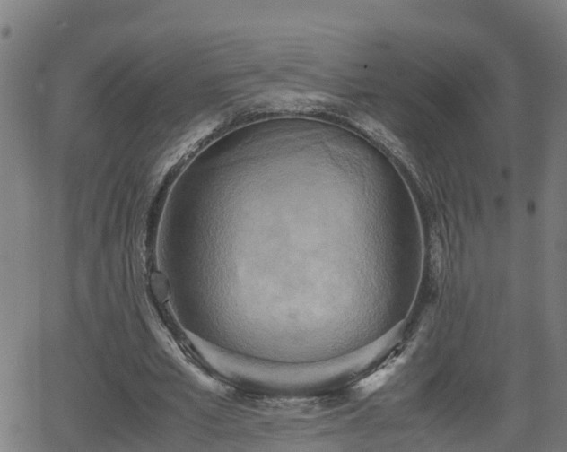 X0000062130581200512161154