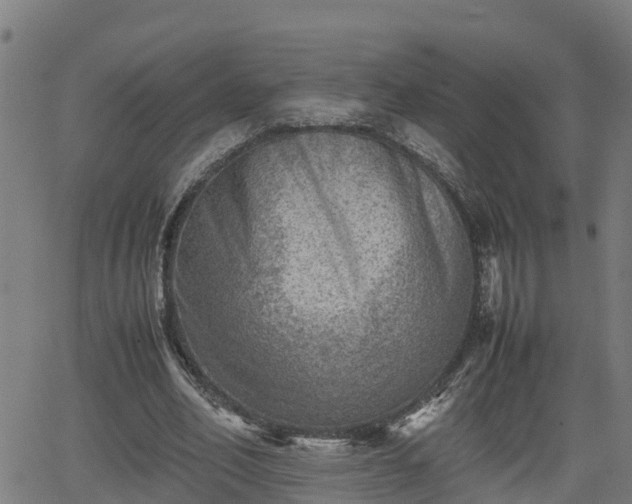 X0000062130582200512161154