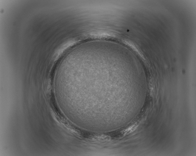 X0000062130583200512161154