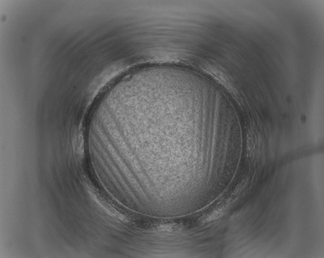 X0000062130584200512161154