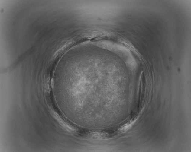 X0000062130585200512161154