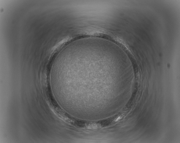 X0000062130587200512161154