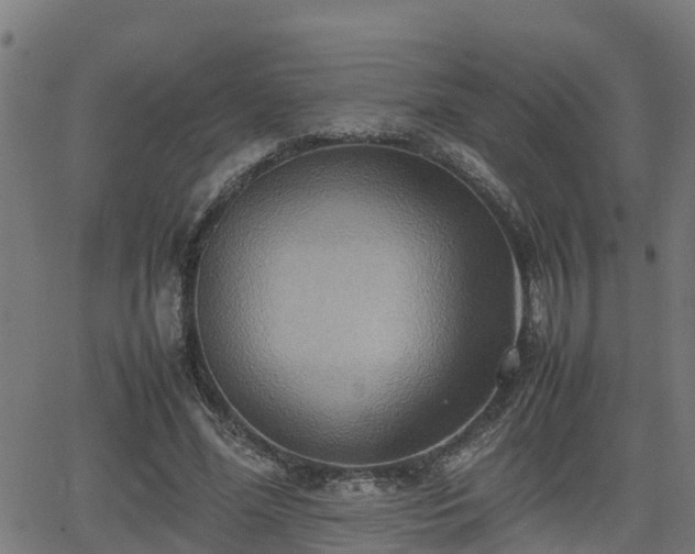 X0000062130588200512161154