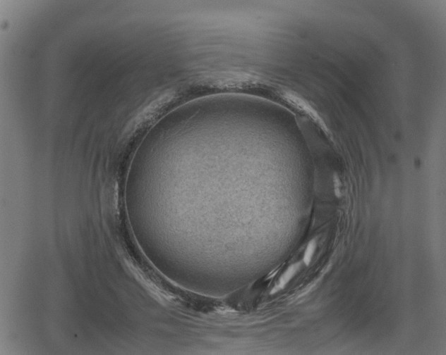 X0000062130589200512161154