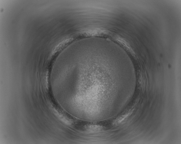 X0000062130590200512161154