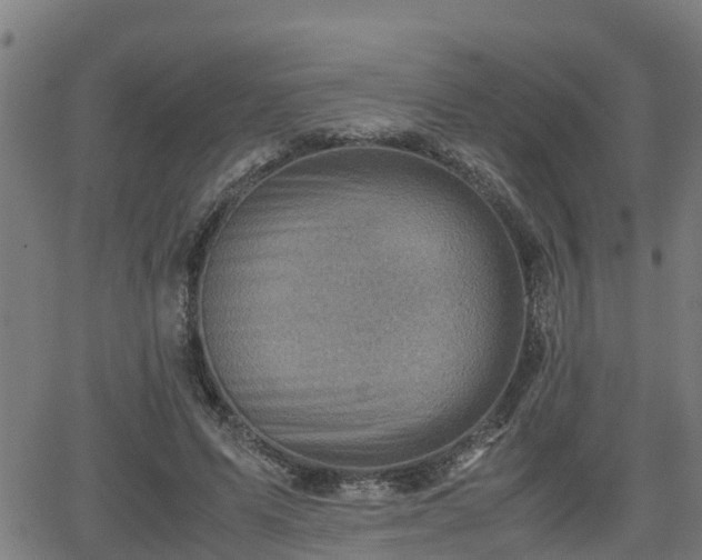 X0000062130591200512161154