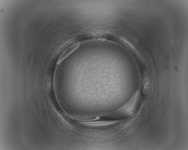 X0000062130593200512161154