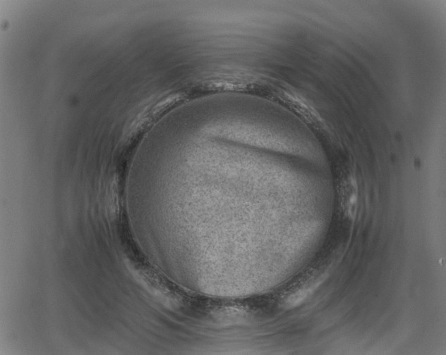 X0000062130594200512161154