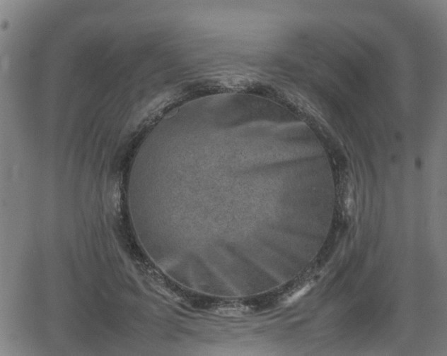 X0000062130595200512161154