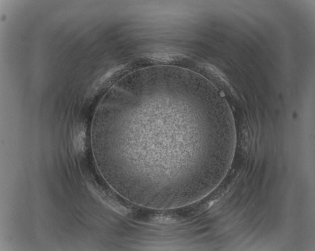 X0000062130596200512161154